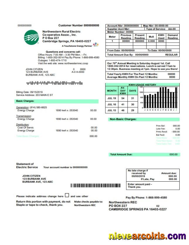 USA Northwestern Rural Electric utility bill